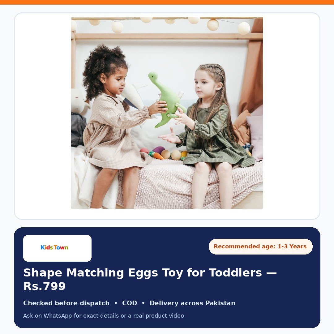 Shape Matching Eggs Toy for Toddlers additional view - KidsTown Pakistan