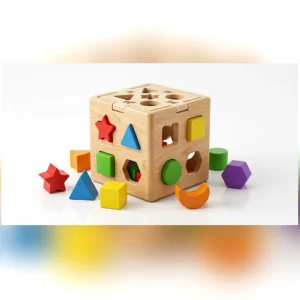 Woodlets Shape Sorter – Montessori Learning Toy for Kids – KidsTown.pk Pakistan