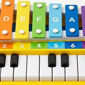 2 in 1 Piano & Xylophone Toy for Kids – Learning Toy for Kids Pakistan