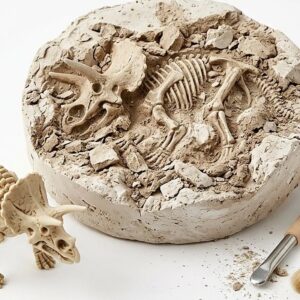 Dinosaur Skeleton Soil Excavation Model Kit (Large Size) – KidsTown.pk